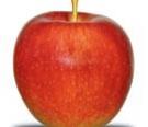 Aichinger Apfel Jonagold 1000g